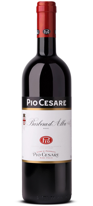 Barbera d'Alba Pio Cesare, vendita Torino e provincia