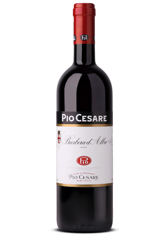 Barbera d'Alba | Pio Cesare