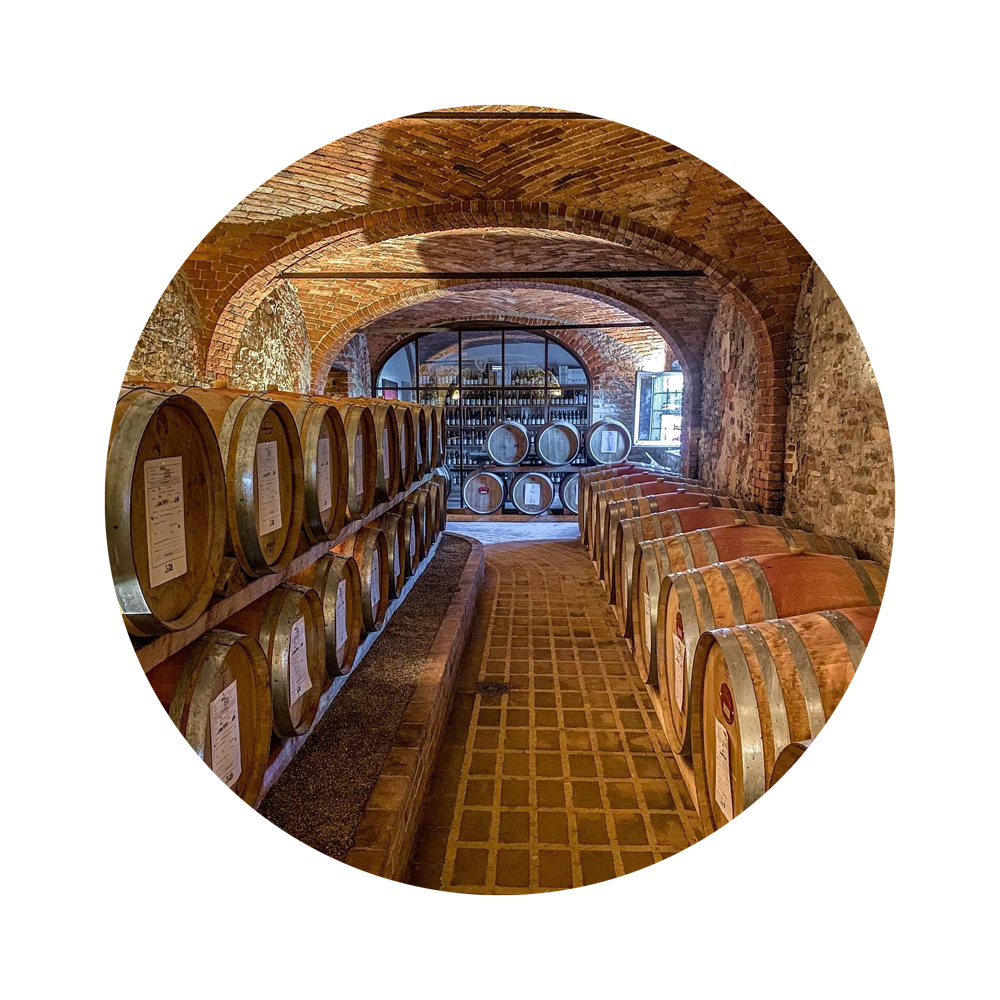Scopri il Barolo Ludo dei Poderi Luigi Einaudi con VINTO Rappresentanze