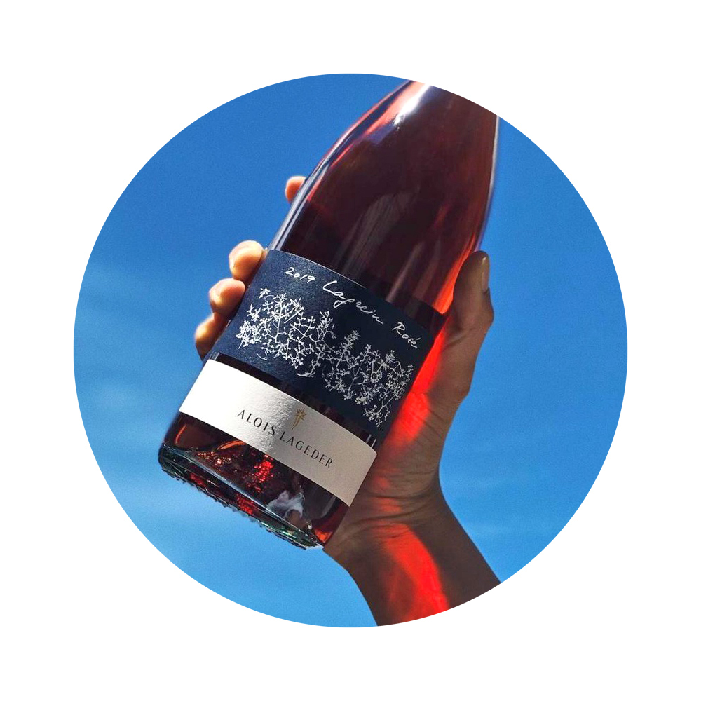 lagrein rose alois lageder vendita torino provincia