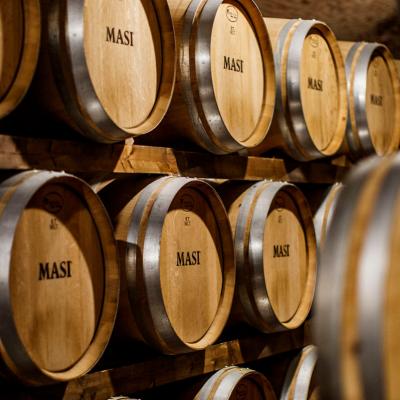 Vini Masi Vendita Ingrosso Torino Provincia