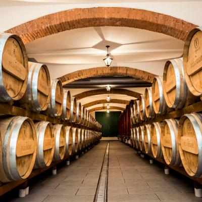 Vini Conti Bossi Fedrigotti Vendita Torino Provincia