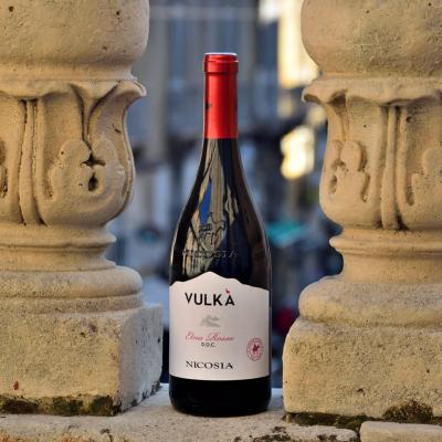 Vini Nicosia Vulka Torino Provincia