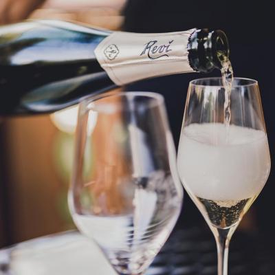 Trentodoc Revi Vinto Rappresentanze Torino Provincia