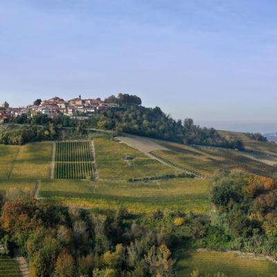 Barolo Fratelli Alessandria Vinto Rappresentanze