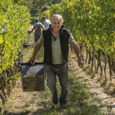 Vini Fratelli Alessandria Torino Rappresentante