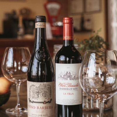 Vini Olim Bauda Rappresentante Torino