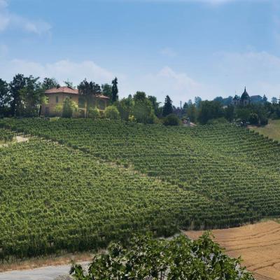 Vini Luigi Einaudi Vendita Torino Provincia