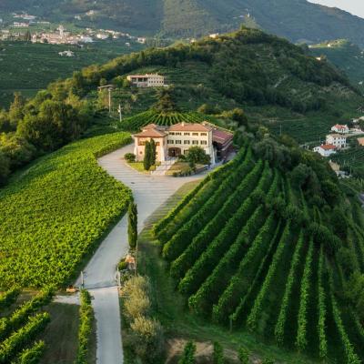 Canevel Prosecco Rappresentante Torino Provincia
