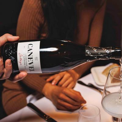 Prosecco Canevel Vendita Torino Provincia