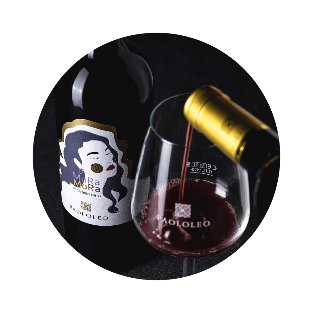 Vini Puglia Paololeo vendita Torino Provincia