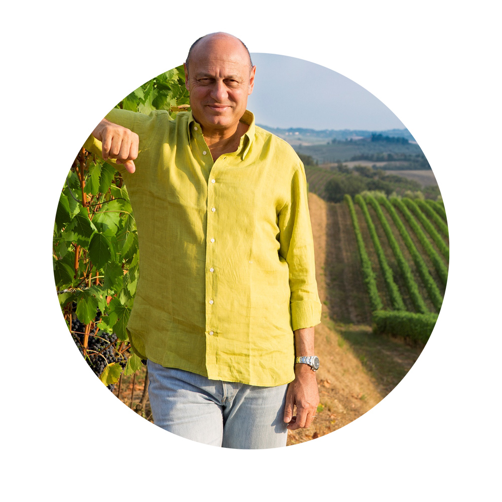 Vini Rocca delle Macìe Famiglia Zingarelli vendita Torino provincia
