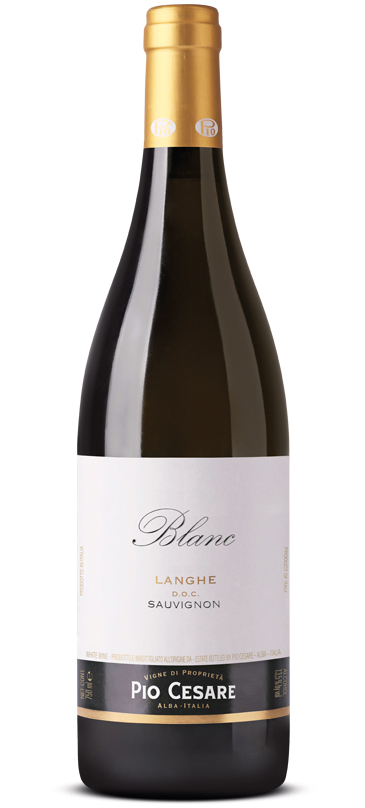 Blanc Langhe Sauvignon vendita Torino provincia