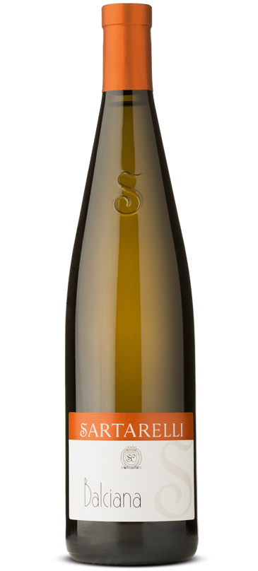 Acquistare Verdicchio Balciana di Sartarelli per ristoranti, wine bar, enoteche e gastronomie